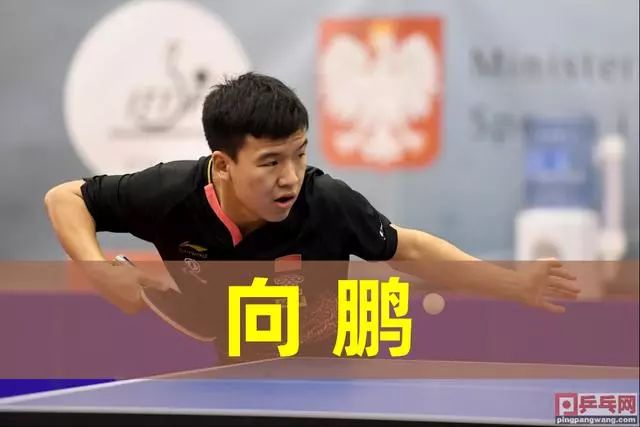 豪宅风波后，全红婵带伤赴新疆滑雪，再次陷入争议，樊振东说对了